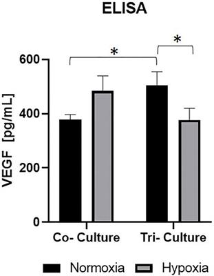 Establishment of a Pre-vascularized 3D Lung Cancer Model in Fibrin Gel—Influence of Hypoxia and Cancer-Specific Therapeutics